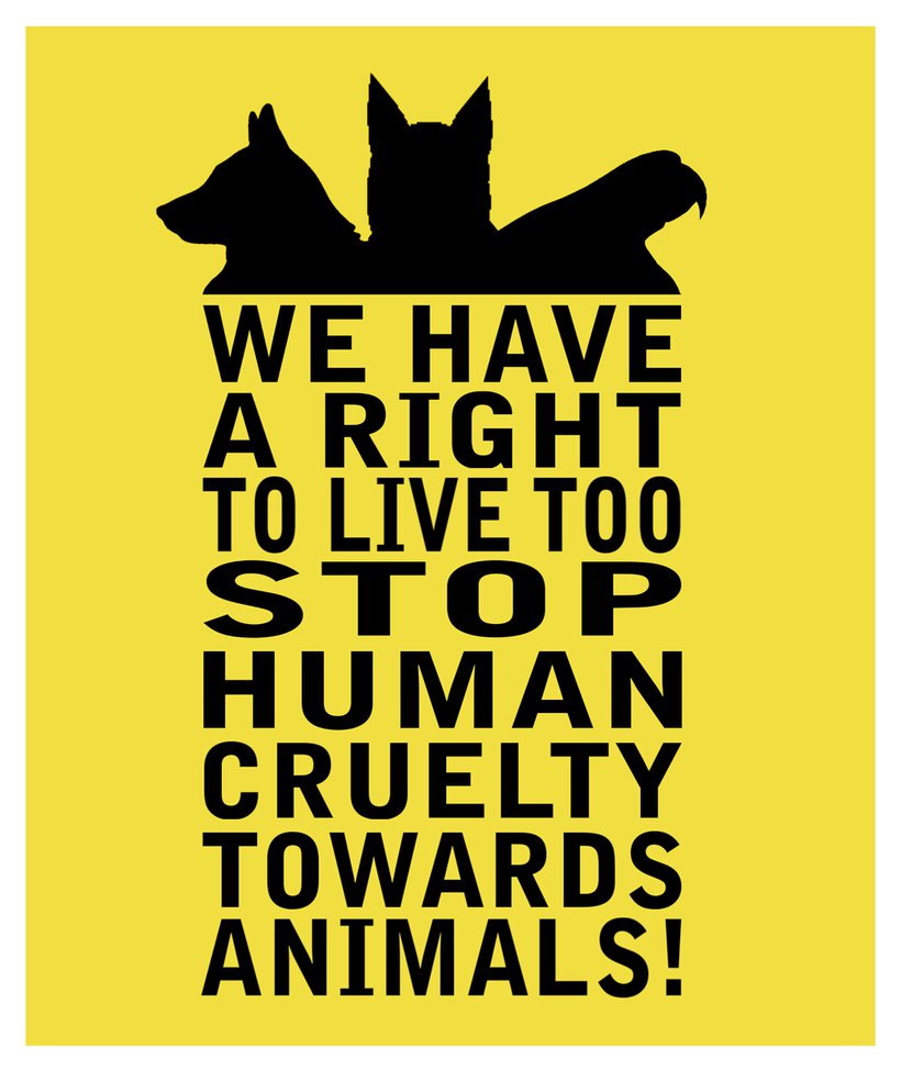 Against Animal Cruelty Quotes. QuotesGram