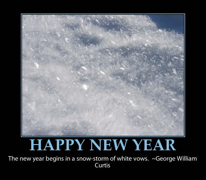 New Year Sarcastic Quotes Sarcastic New Years Quotes. Quotesgram