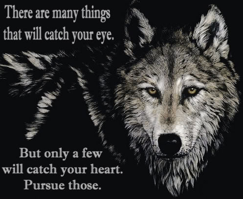 Quotes About Native American Wolf. Quotesgram