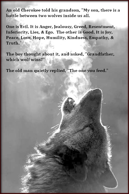 Native American Wolf Quotes. Quotesgram