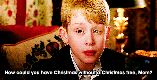 Home Alone 2 Quotes Quotesgram Home Alone 2 Quotes Quotesgram