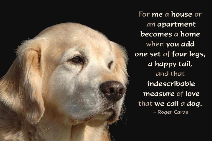 Famous Animal Rescue Quotes QuotesGram