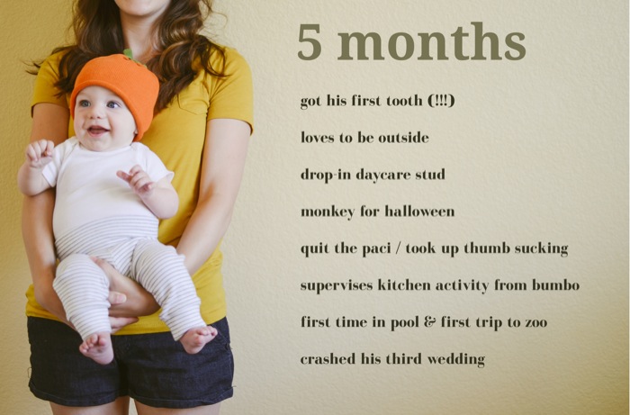 6 Months Old Quotes. QuotesGram