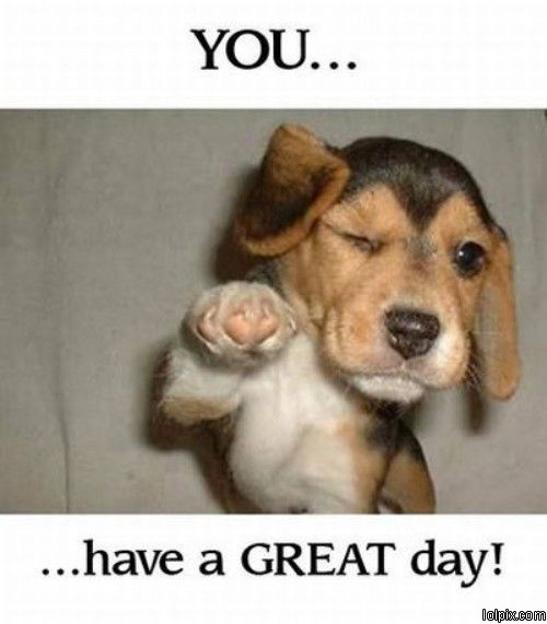 Have A Great Day Funny Quotes QuotesGram