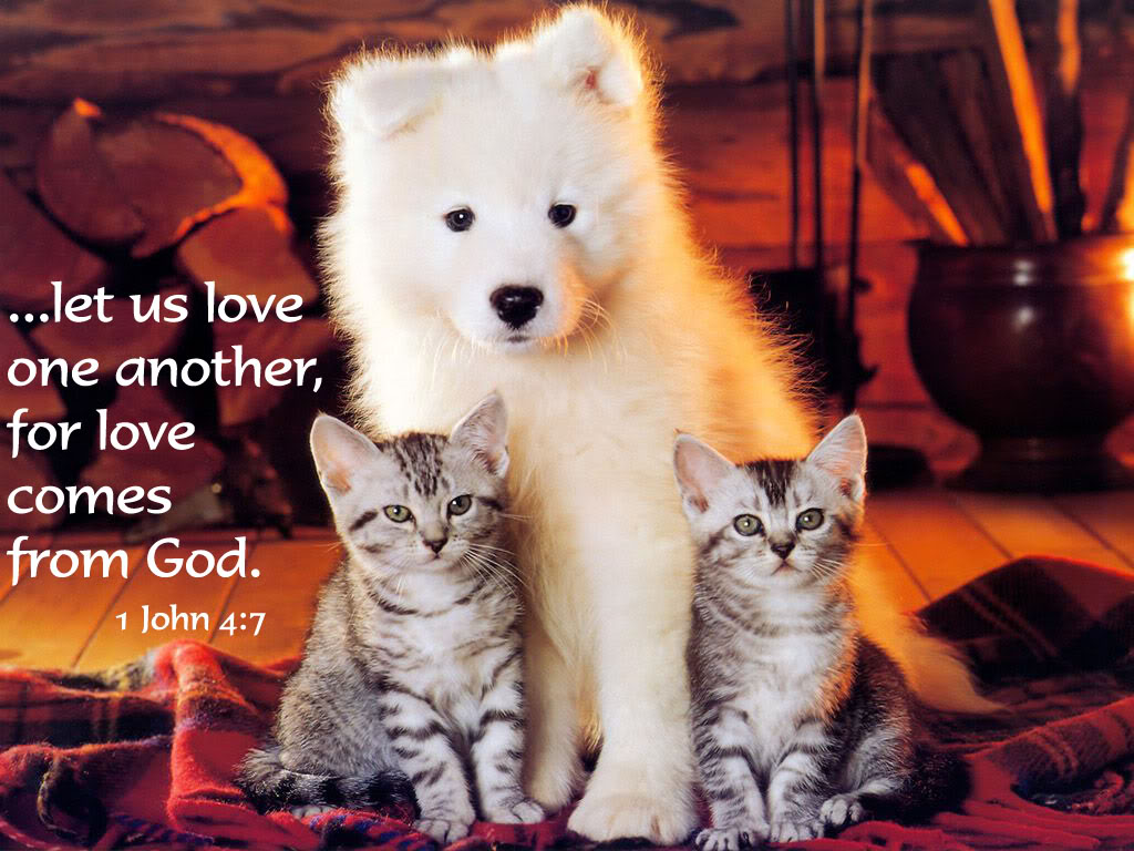 1678919803 let us love one another for love comes from god bible quote