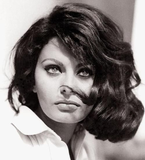 Novakid Career - Sophia Loren once said: “Mistakes are part of the