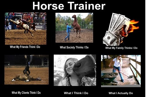 Horse Trainer Quotes Funny. QuotesGram Horse Trainer Quotes Funny. QuotesGram