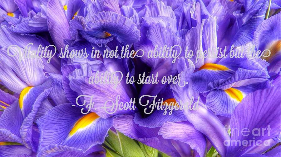 Iris Flower Quotes. QuotesGram