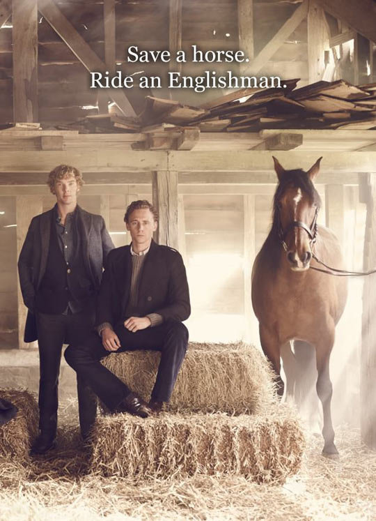 Long Horse Quotes. QuotesGram