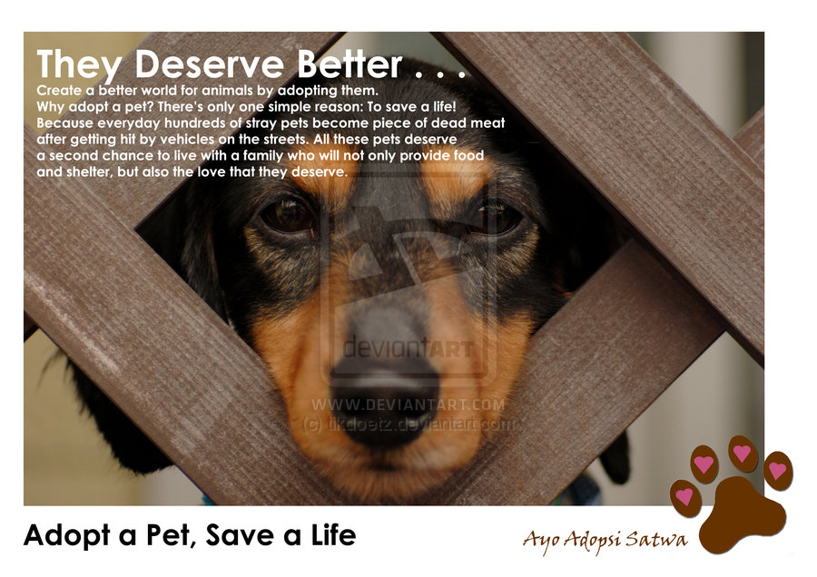 Pet Adoption Quotes QuotesGram