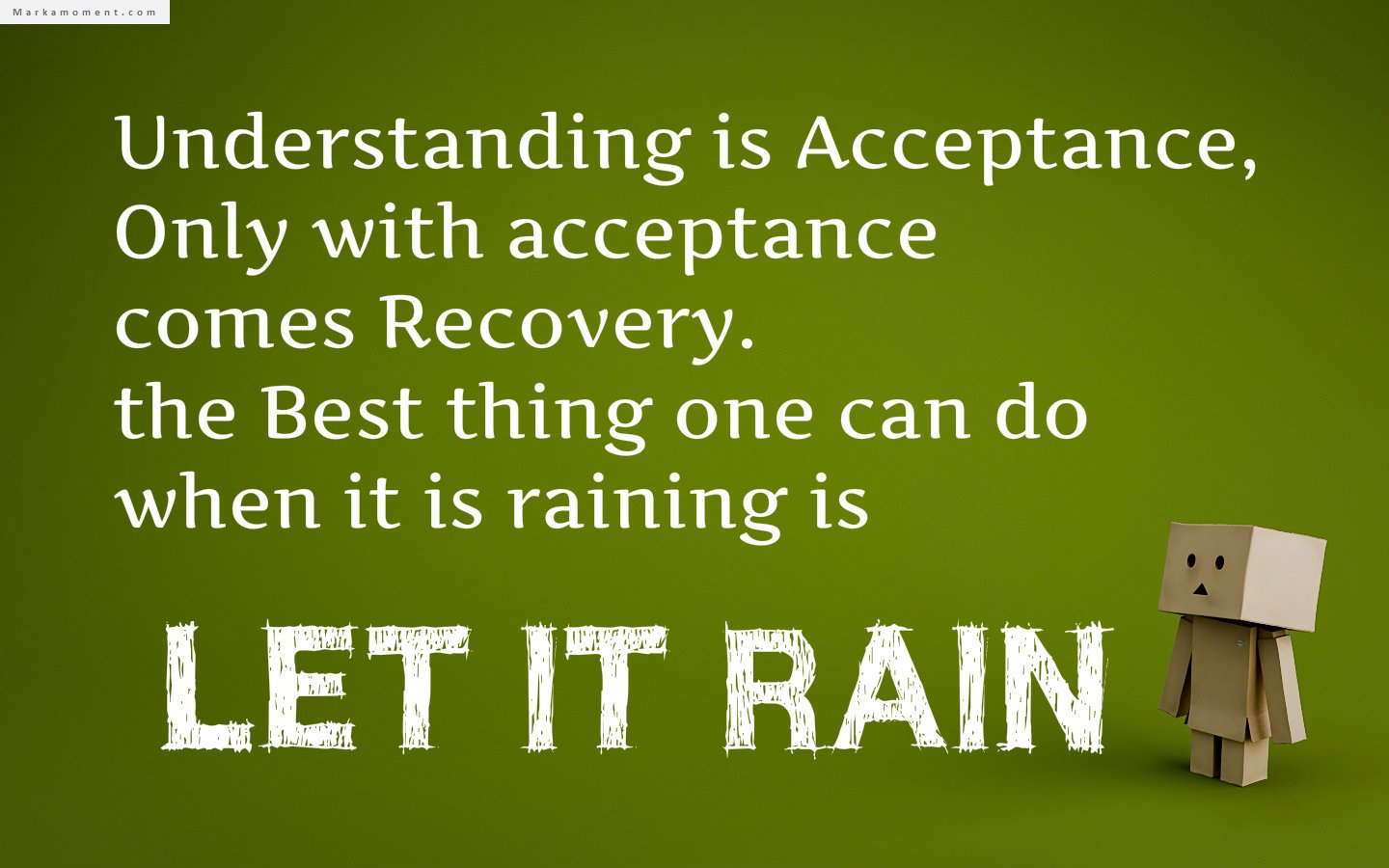 Acceptance Quotes