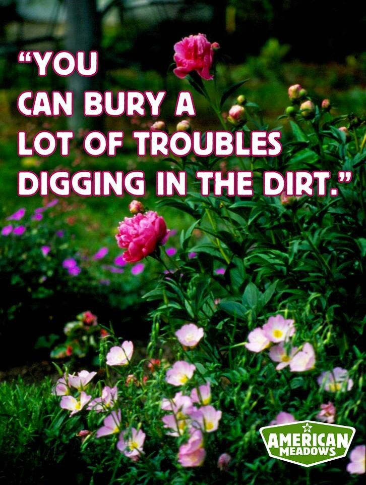 Quotes About Playing In Dirt. QuotesGram