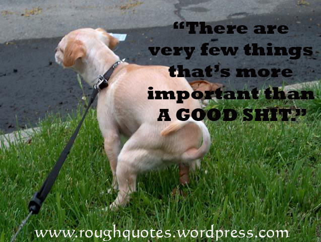 Tuesday Dog Quotes Quotesgram