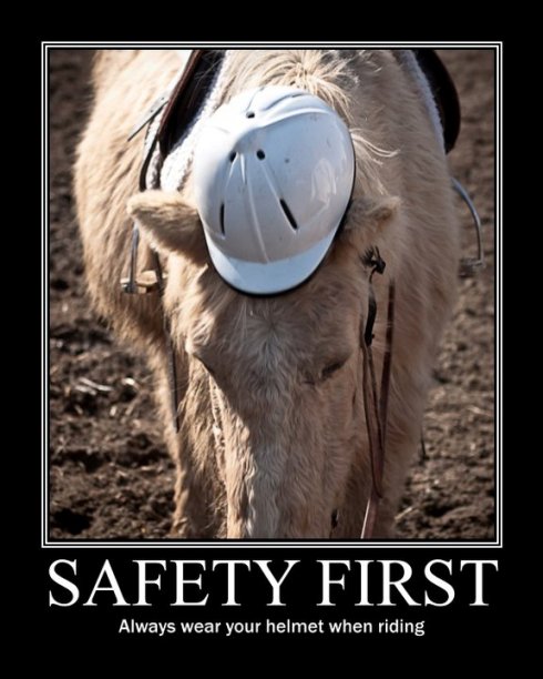 Funny Quotes About Safety. QuotesGram