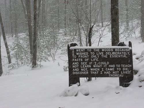 Transcendentalism Quotes By Thoreau. QuotesGram