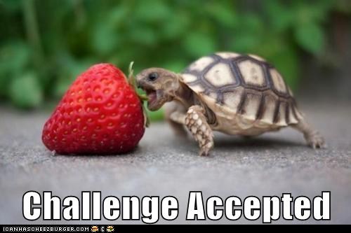 funny-challenge-quotes-quotesgram