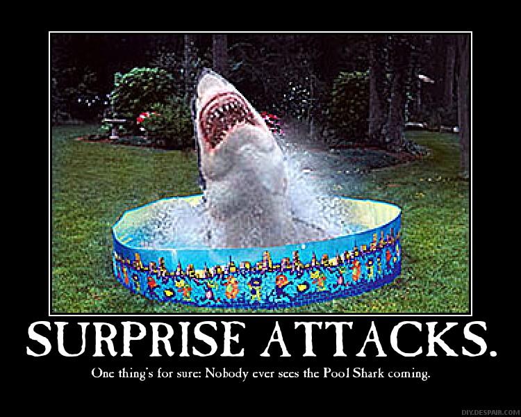 Shark Attack Quotes. QuotesGram