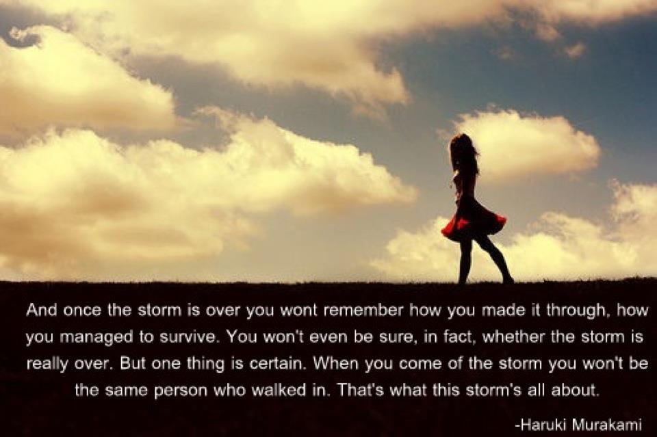 After The Storm Quotes. QuotesGram