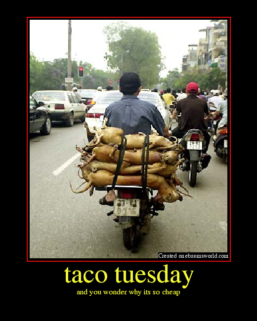 Taco Tuesday Pictures Funny.