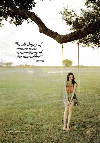 Quotes About Love On Swings. QuotesGram Quotes About Love On Swings. QuotesGram