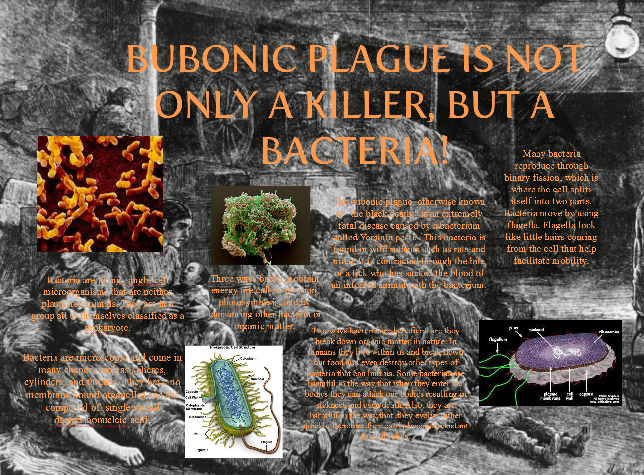 Bubonic Plague Black Death Quotes. QuotesGram