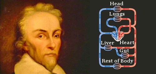 William Harvey Quotes. QuotesGram