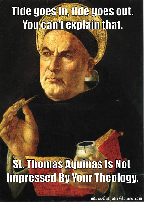 Thomas Aquinas Natural Law Quotes QuotesGram