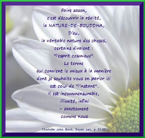 Charlotte Joko Beck Quotes Quotesgram