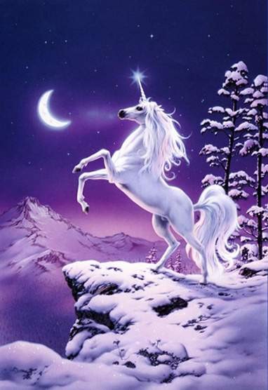 Unicorn Poems And Quotes. QuotesGram