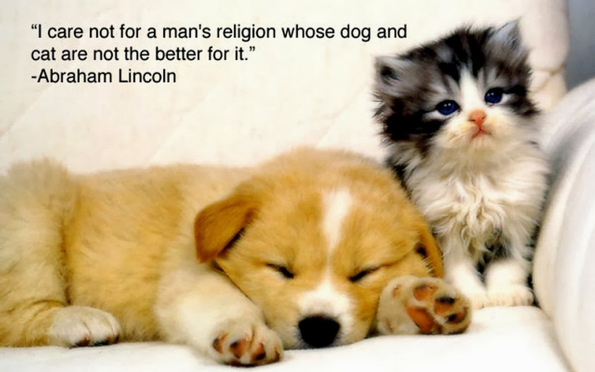Animals Love Caring Quotes. QuotesGram