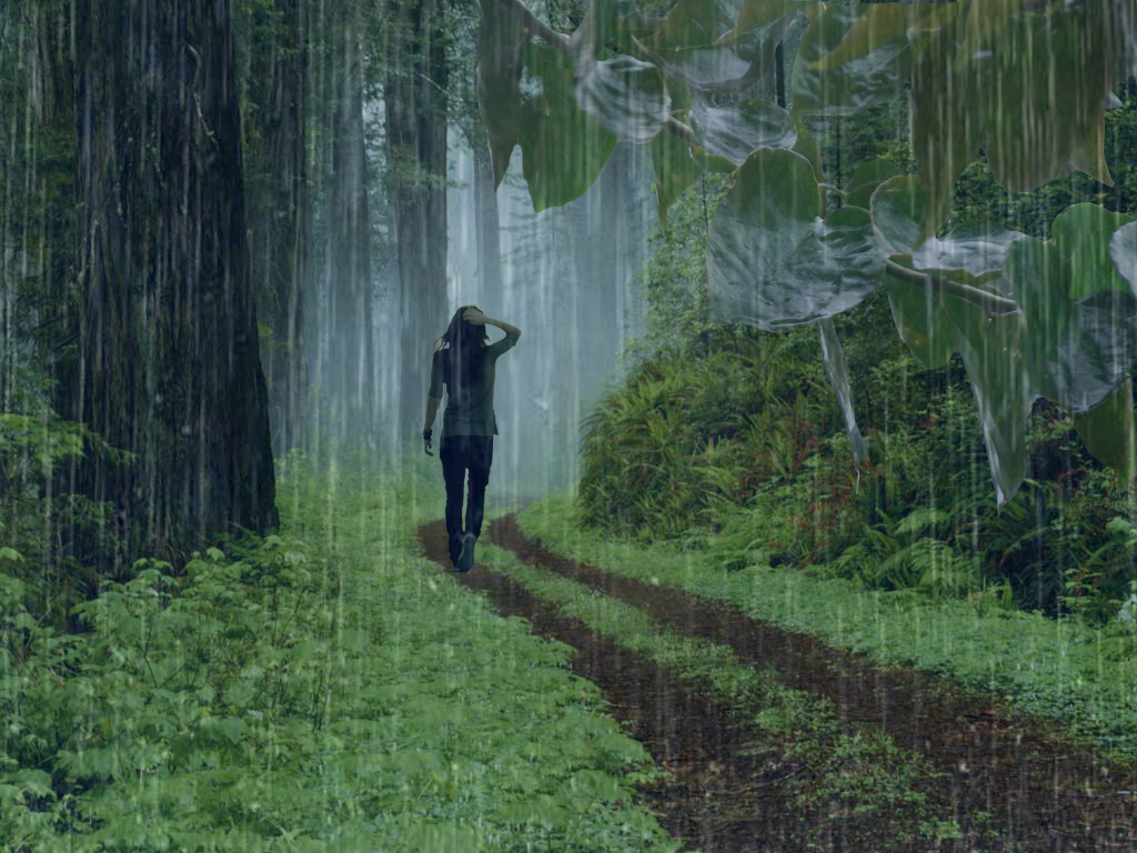 She s in the rain. Rain walk. Walk in the Rain. Downpour Rain. The Forest дождь.