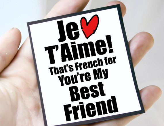 French Friendship Quotes. QuotesGram