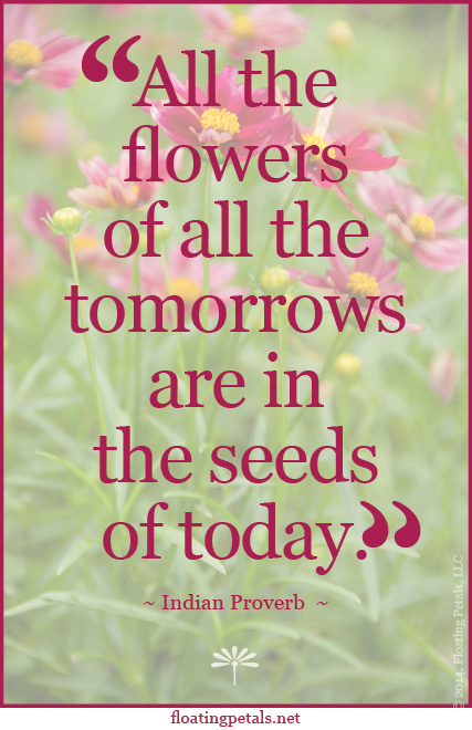 Quotes About Happiness And Flowers. QuotesGram