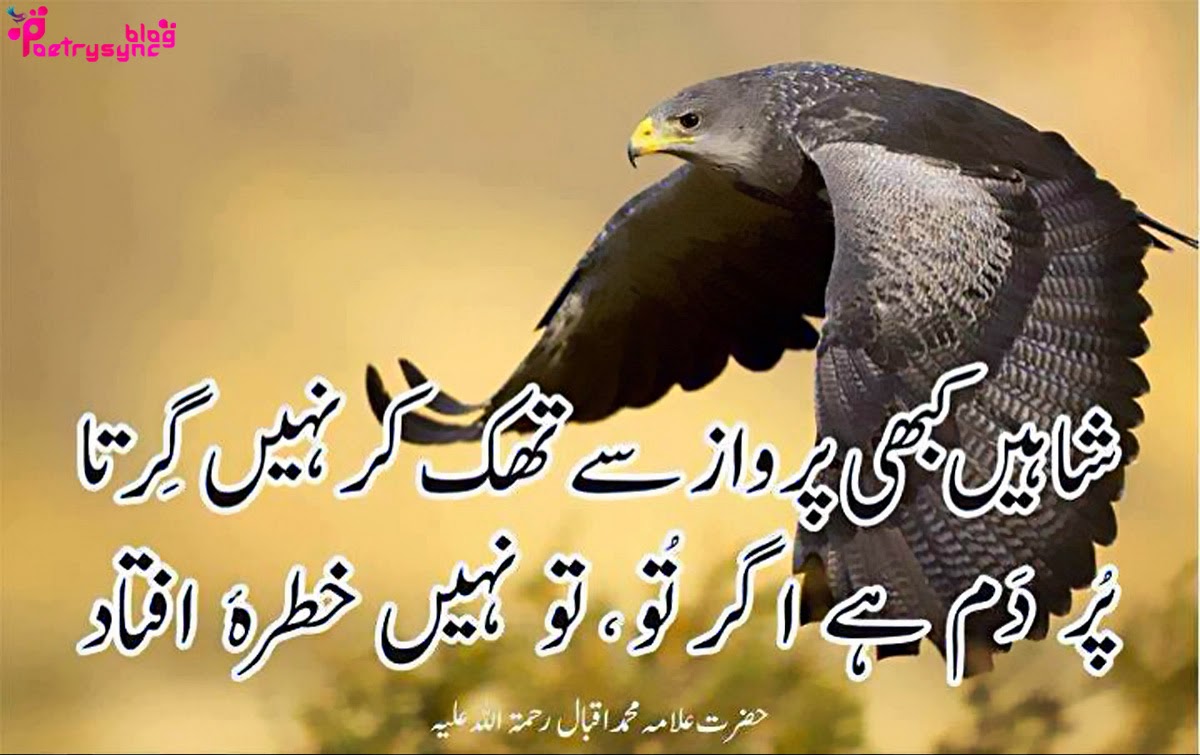 Motivational Quotes In Urdu. QuotesGram