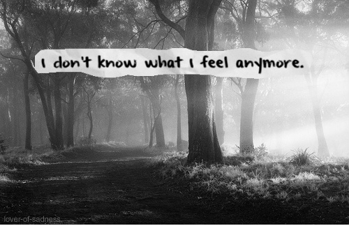 I don't know what i feel anymore. I don't know what. I don't Care about anything anymore.