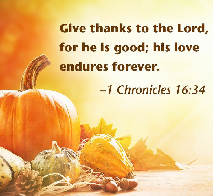 Bible Quotes About Harvest