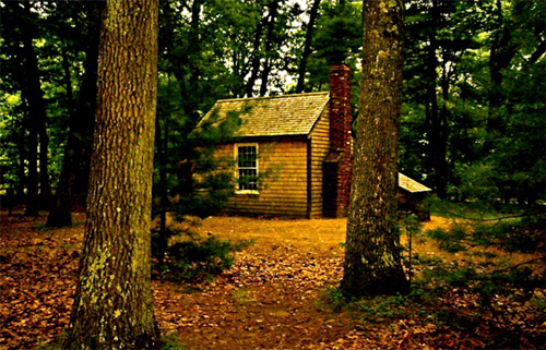 Transcendentalism Thoreau Walden Quotes. QuotesGram