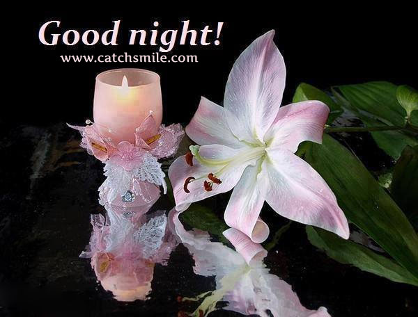 Night Night Quotes With Roses. QuotesGram