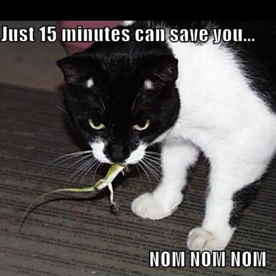 Geico Funny Quotes. QuotesGram