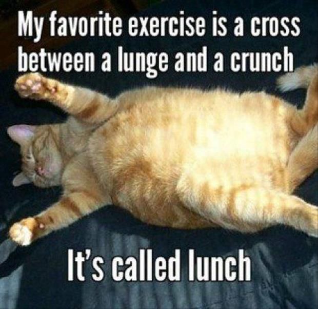 Lunch With Friends Funny Quotes QuotesGram Lunch With Friends Funny Quotes QuotesGram