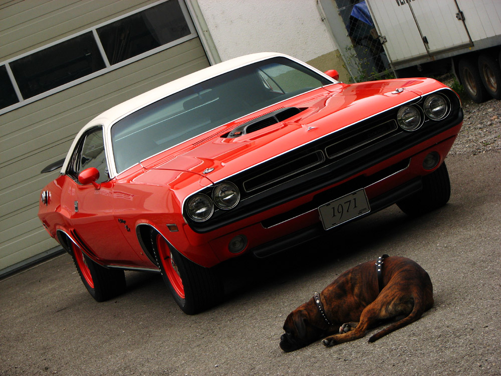 Chrysler Barracuda 2008