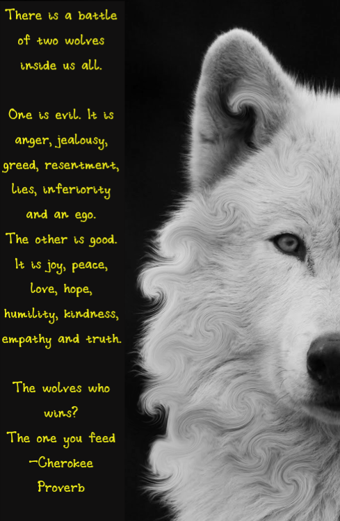 Dont Cry Wolf Quotes. QuotesGram