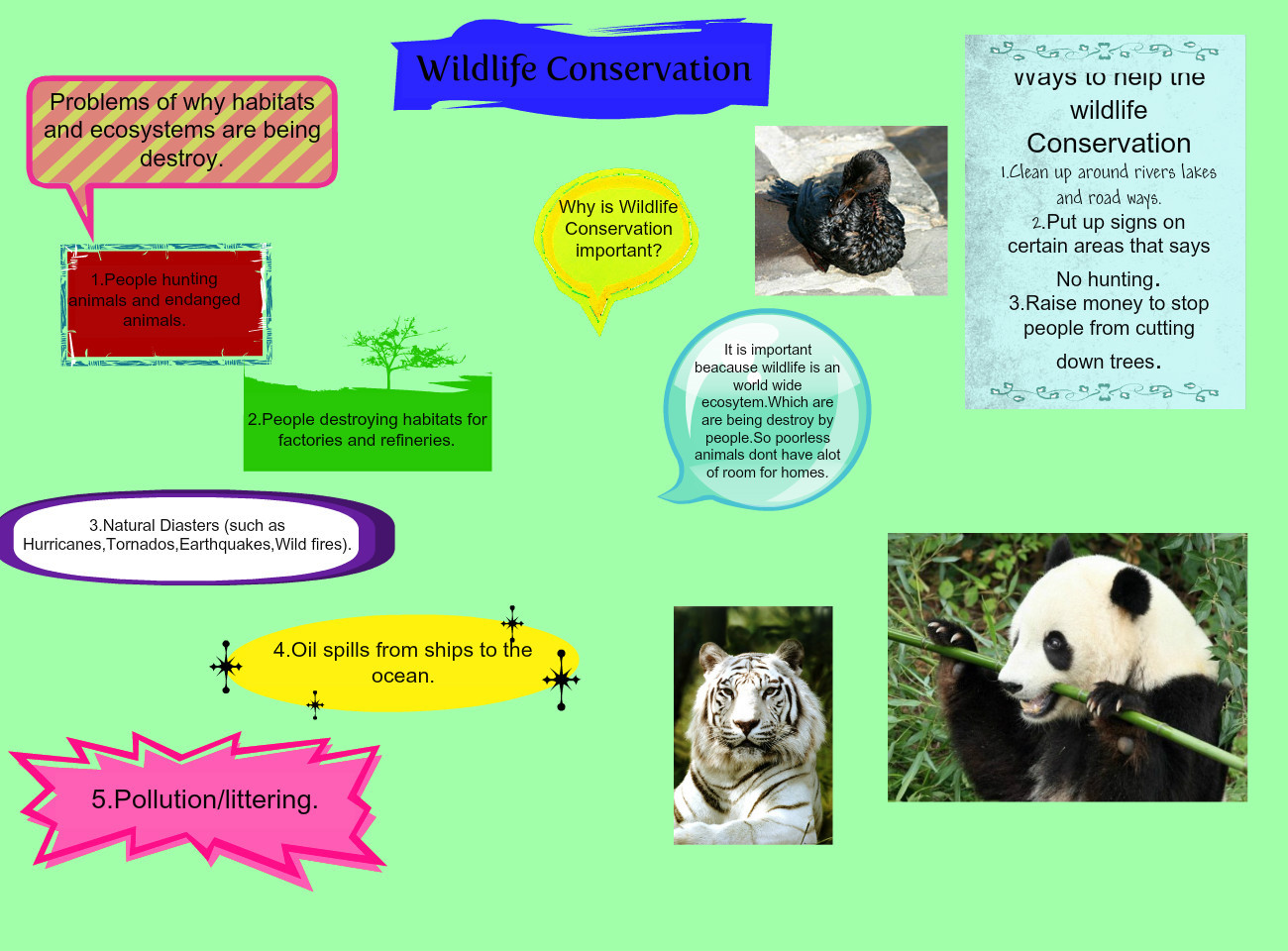Wildlife conservation. Wildlife Conservation topic. Wildlife Conservation для 8 классов. Animal Conservation.