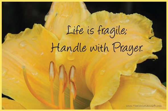 Life Is Fragile Quotes Quotesgram