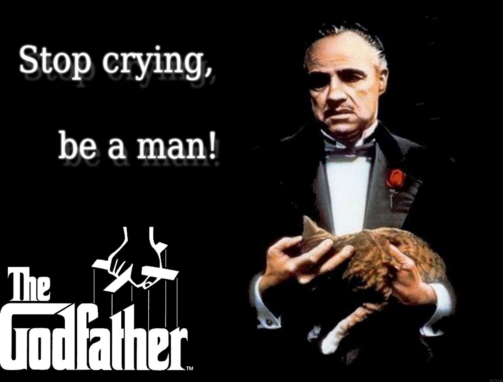 The Godfather Movie Quotes Memorable Quotes Poster