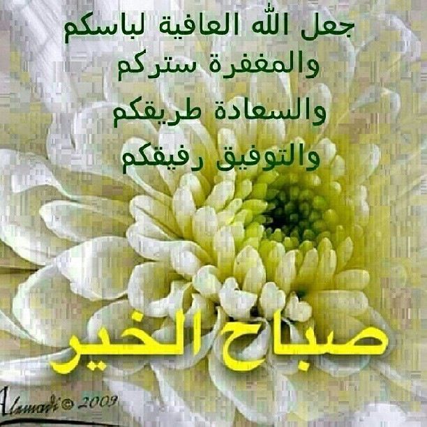 Good Morning Quotes In Arabic Quotesgram