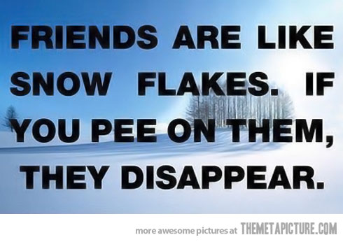 Friends Disappear Quotes. QuotesGram