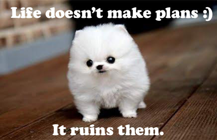 Inspirational Quotes With Cute Puppy Quotesgram Inspirational Quotes With Cute Puppy