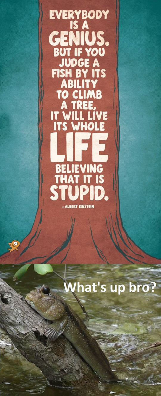 Climbing Trees Famous Quotes Albert Einstein. QuotesGram