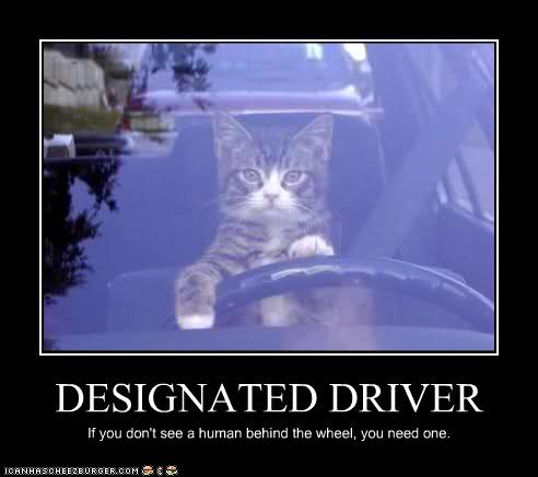 Designated Driver Quotes. QuotesGram